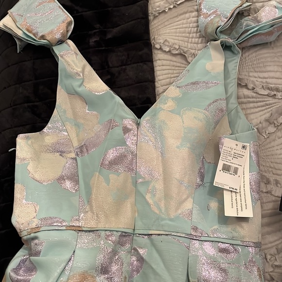 New: Adrianna Papell Embroidered Tulle Maxi Dress - Picture 6 of 7